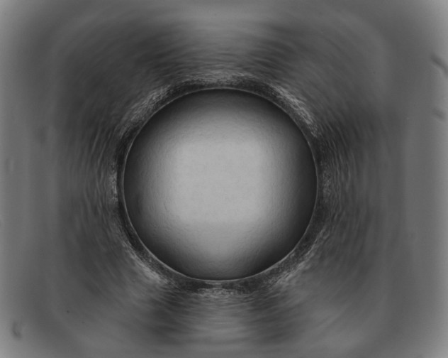 X0000091330633200708311437