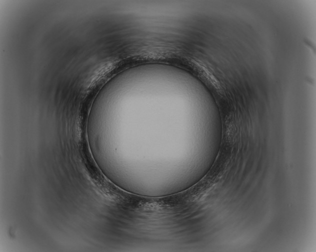 X0000091330635200708311437