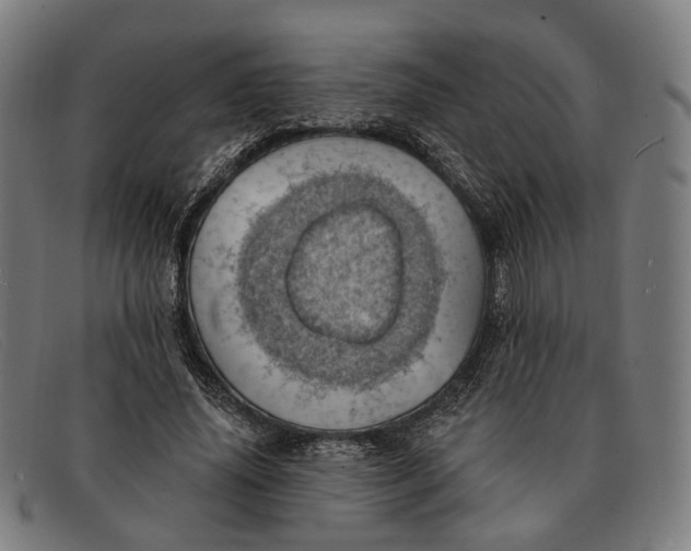 X0000091330636200708311437