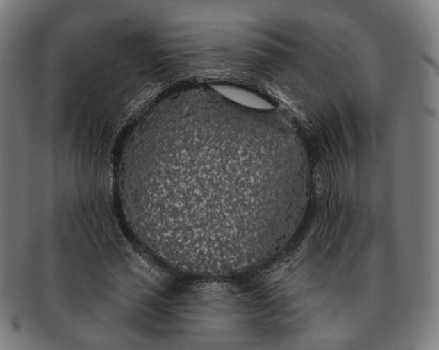 X0000091330637200708311437