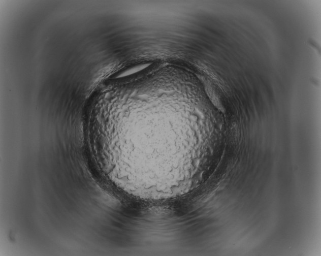 X0000091330638200708311437