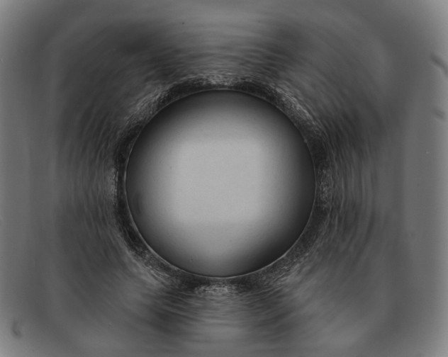 X0000091330639200708311437
