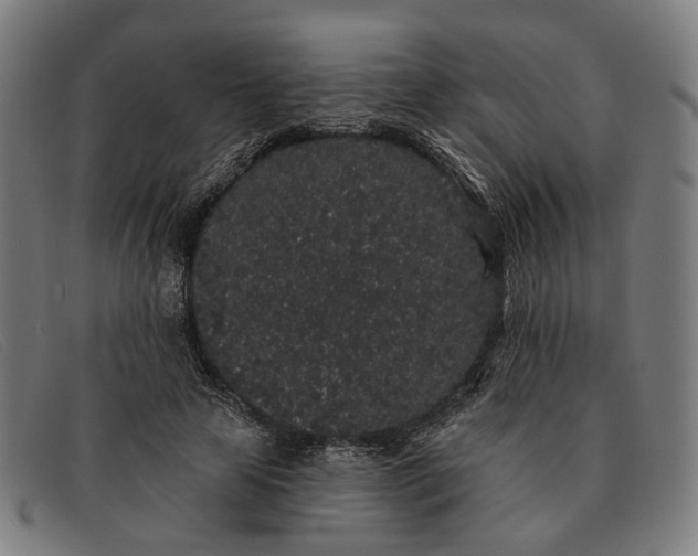 X0000091330641200708311437