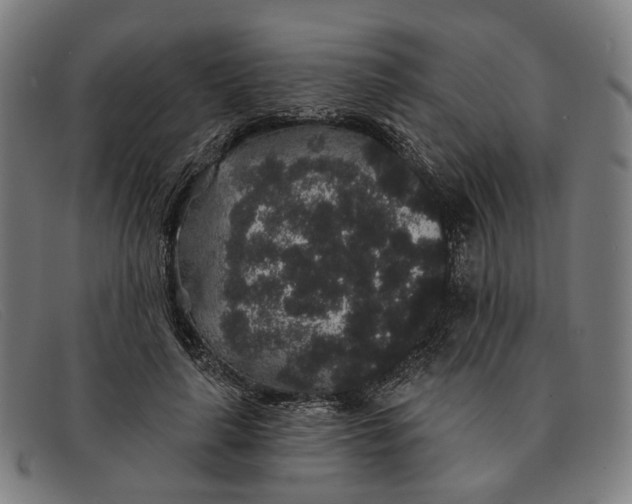 X0000091330643200708311437