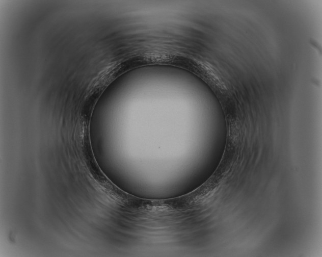 X0000091330645200708311437