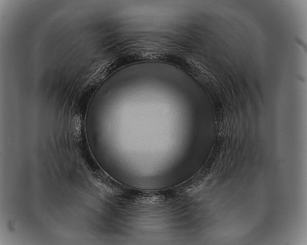 X0000091330646200708311437