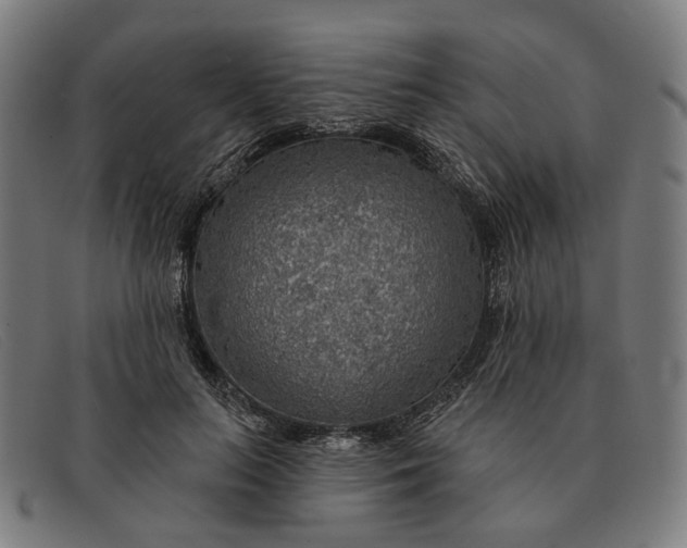 X0000091330647200708311437