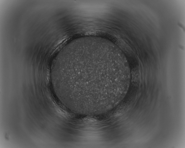 X0000091330648200708311437