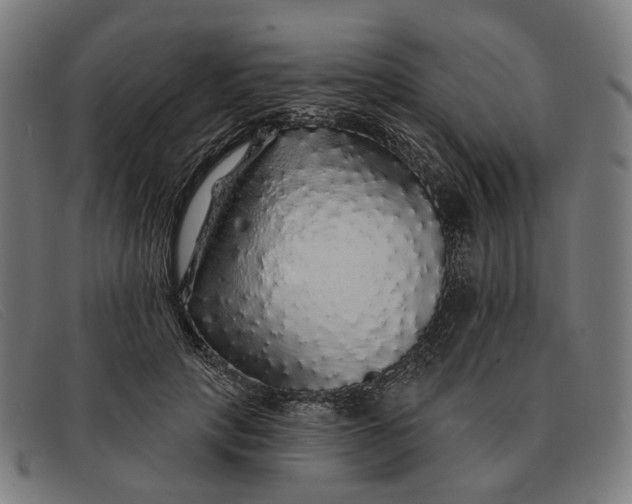 X0000091330649200708311437