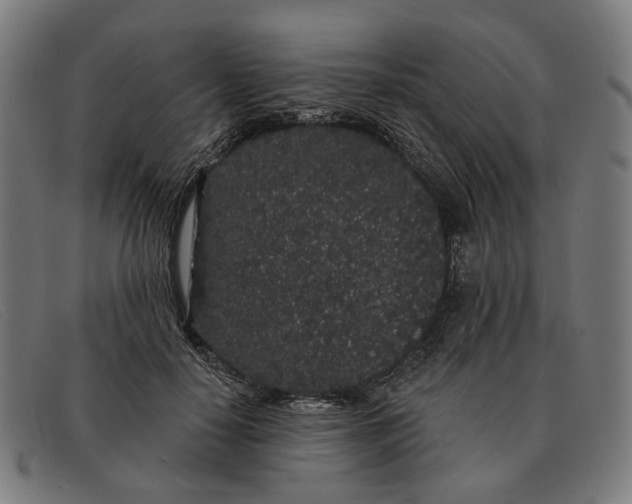 X0000091330650200708311437
