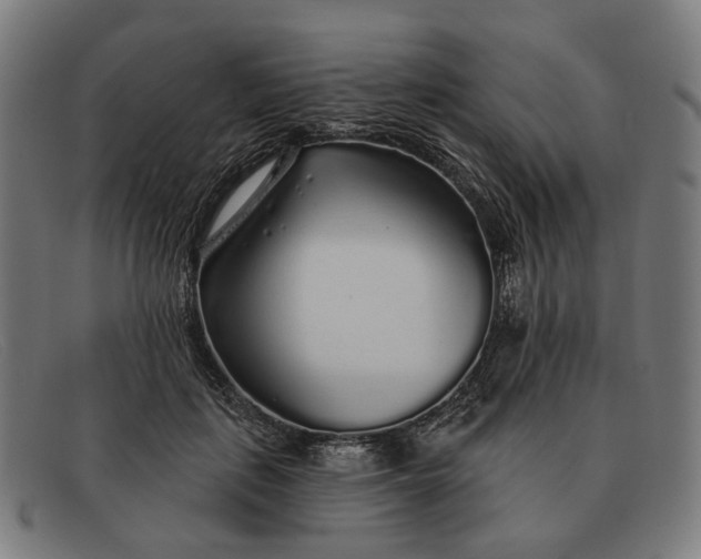 X0000091330651200708311437