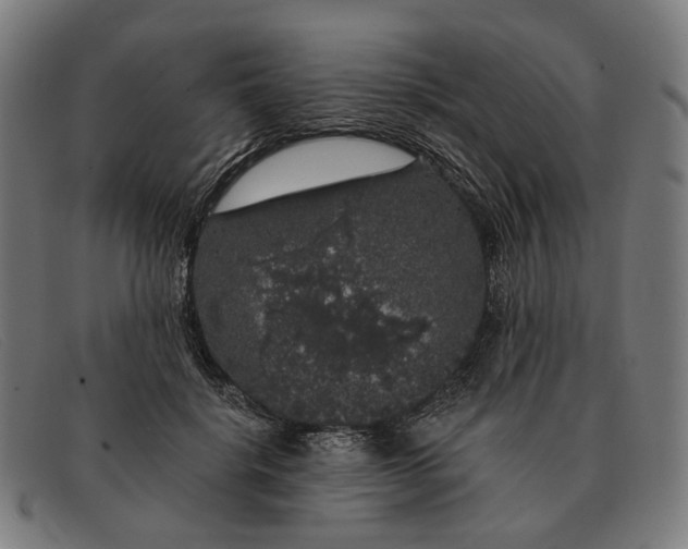 X0000091330652200708311437