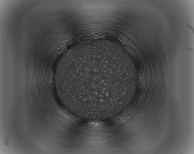 X0000091330654200708311437