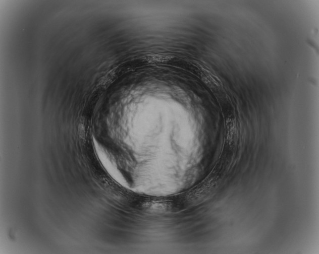 X0000091330655200708311437