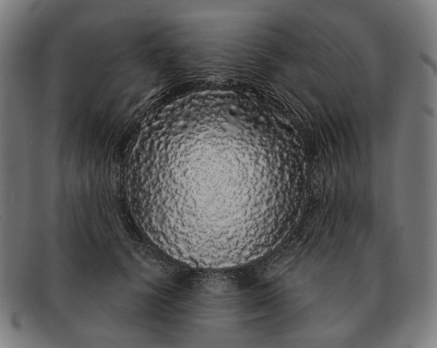 X0000091330656200708311437