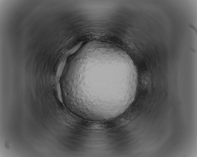 X0000091330657200708311438