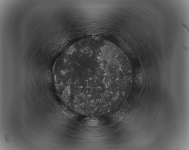 X0000091330658200708311438