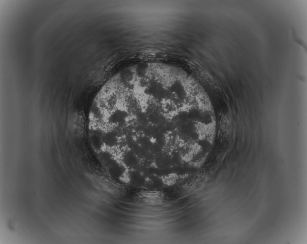 X0000091330659200708311438