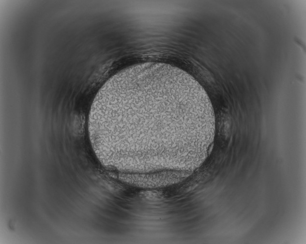 X0000091330660200708311438
