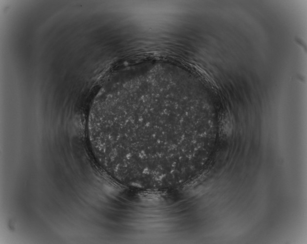 X0000091330661200708311438