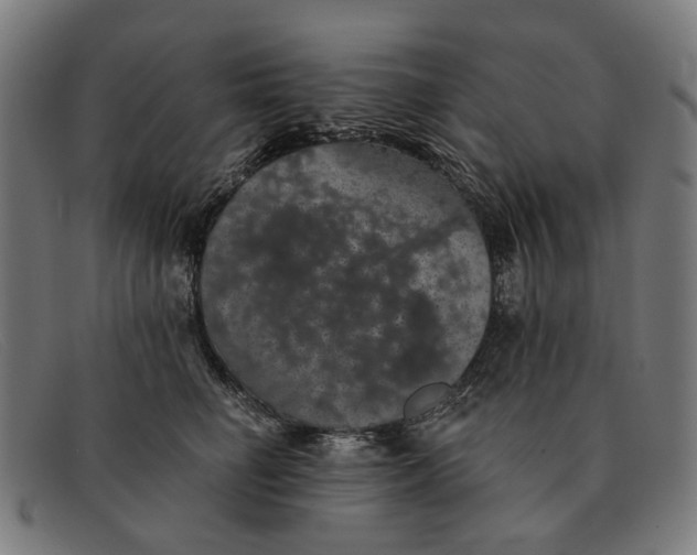 X0000091330662200708311438