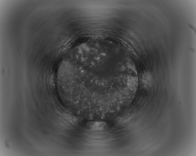 X0000091330663200708311438
