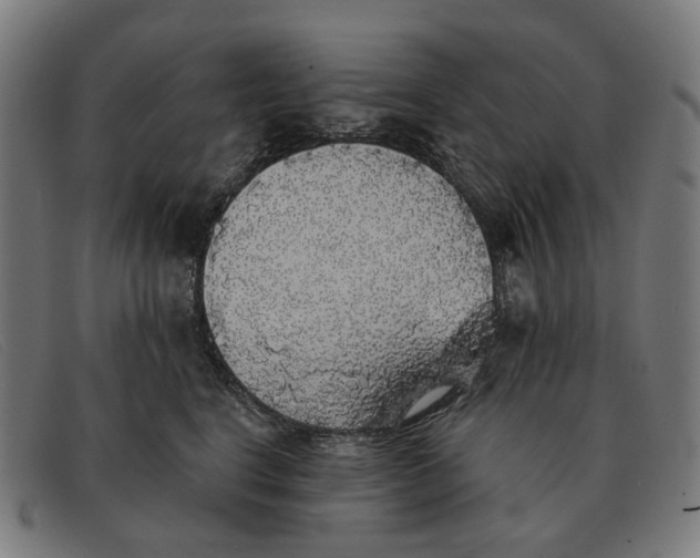 X0000091330664200708311438