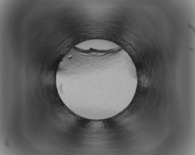 X0000091330665200708311438