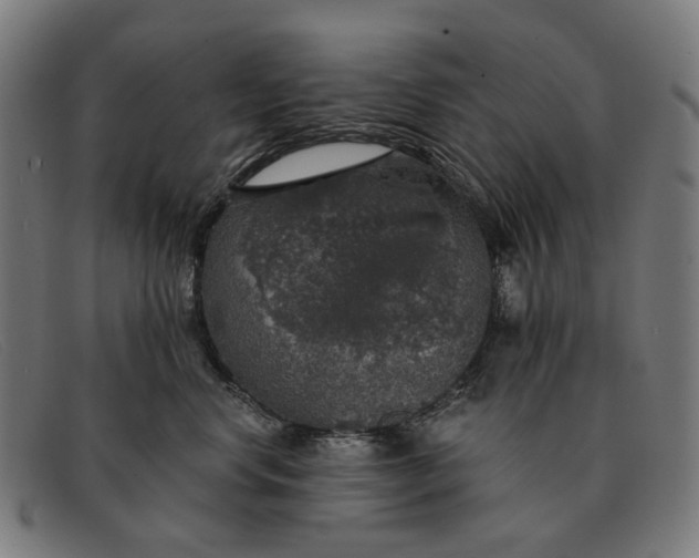 X0000091330668200708311438