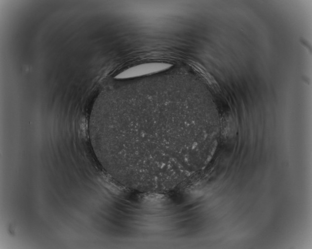 X0000091330669200708311438