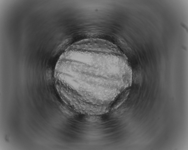 X0000091330670200708311438