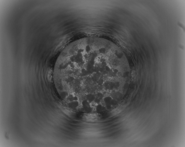 X0000091330671200708311438