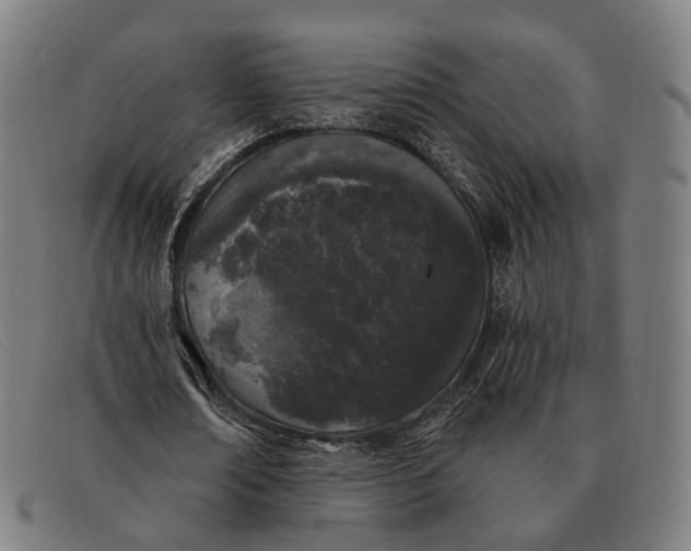 X0000091330674200708311437
