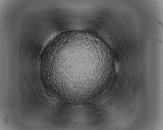 X0000091330675200708311437