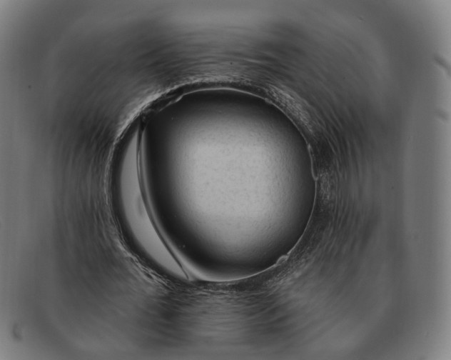 X0000091330676200708311437