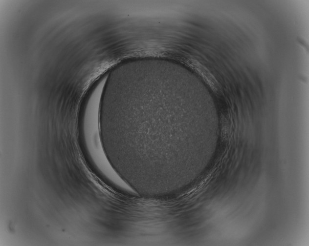 X0000091330677200708311437