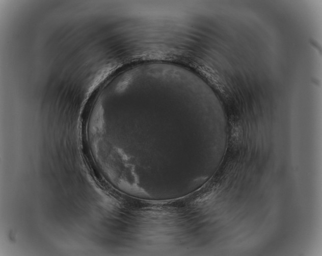 X0000091330678200708311437