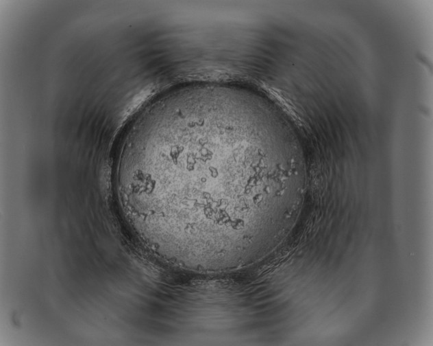 X0000091330679200708311437