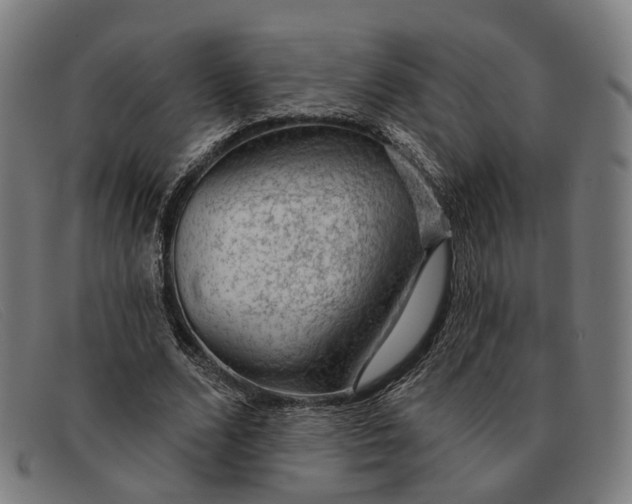 X0000091330680200708311437