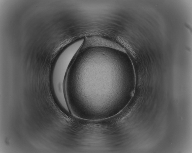 X0000091330681200708311437