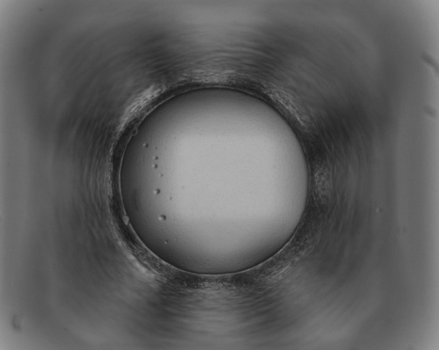 X0000091330682200708311437