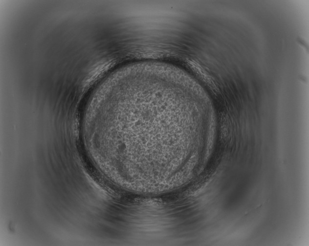 X0000091330683200708311437