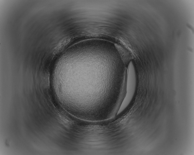 X0000091330685200708311437