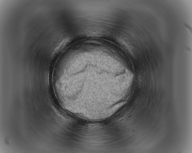 X0000091330686200708311437