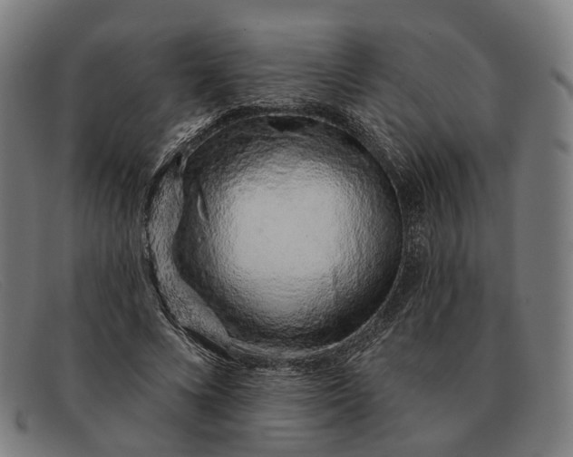X0000091330688200708311437