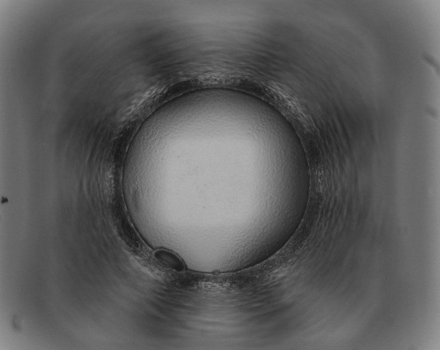 X0000091330690200708311437