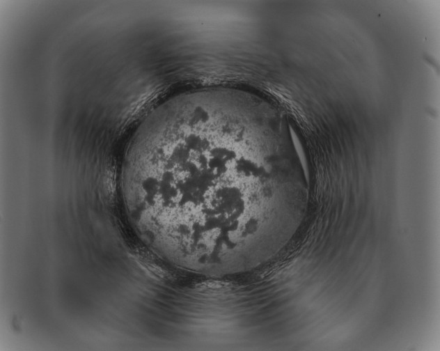 X0000091330691200708311437