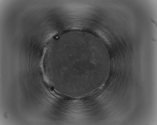 X0000091330692200708311437