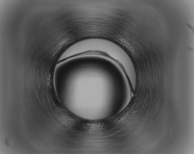 X0000091330693200708311437