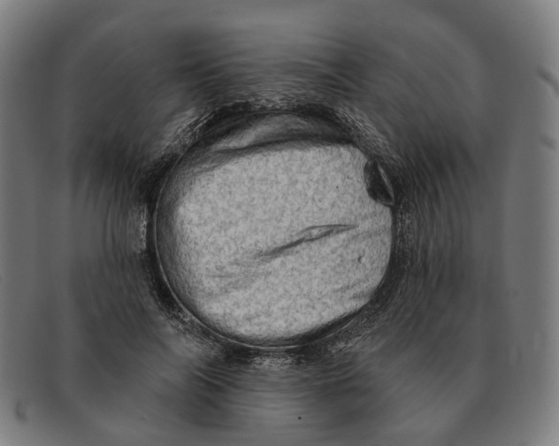 X0000091330694200708311437